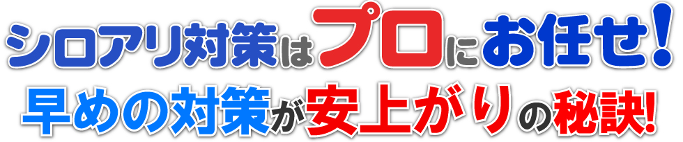 シロアリ駆除のことなら、シロアリ駆除のプロにお任せ！早めの対策が安上がりの秘訣！シロアリねっと