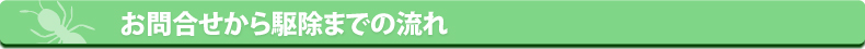 シロアリねっと・お問合せからシロアリ駆除までの流れ