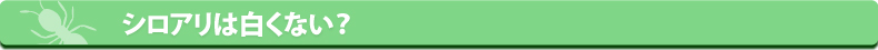 シロアリねっと・シロアリは白くない！？