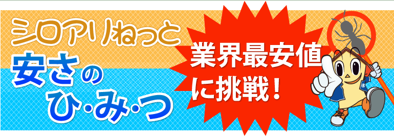 シロアリねっと 安さの秘密 業界最安値に挑戦