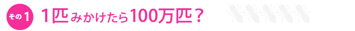 その1.1匹みかけたら100万匹?