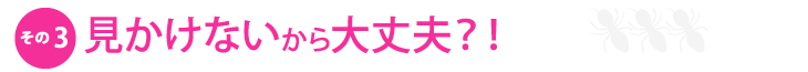 その3.見かけないから大丈夫?!