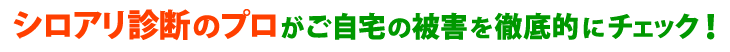 シロアリ診断のプロがご自宅の被害を徹底的にチェック