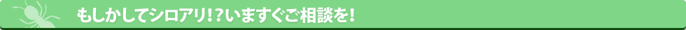 シロアリねっと・こんな症状が出たらすぐご相談！