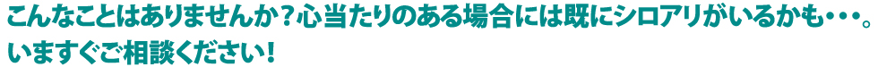 こんなことはありませんか？心当たりのある場合には既にシロアリがいるかも・・・。いますぐご相談ください！